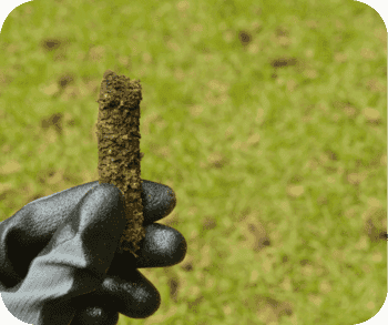 Aeration & Overseeding