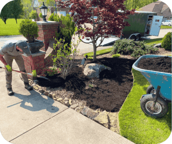 Landscaper spreading mulch around plants in a garden bed near a driveway, with a wheelbarrow filled with soil nearby.