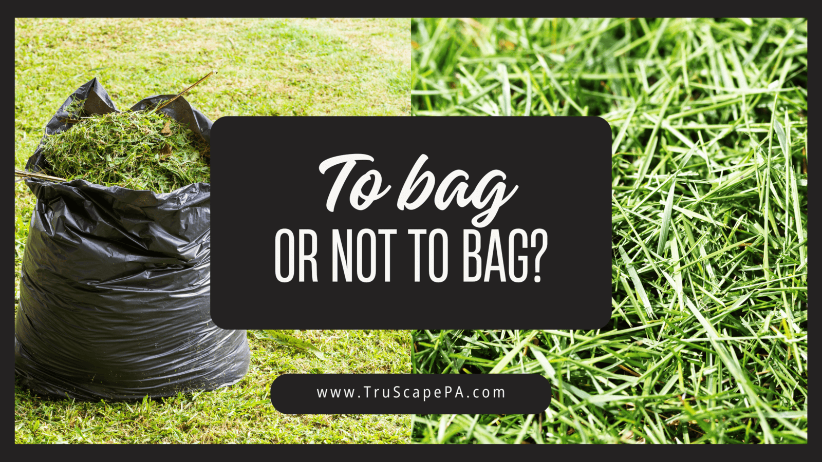 Should You Bag Grass Clippings? The Best Practices for Greensburg, Irwin, Latrobe, and Murrysville Lawns