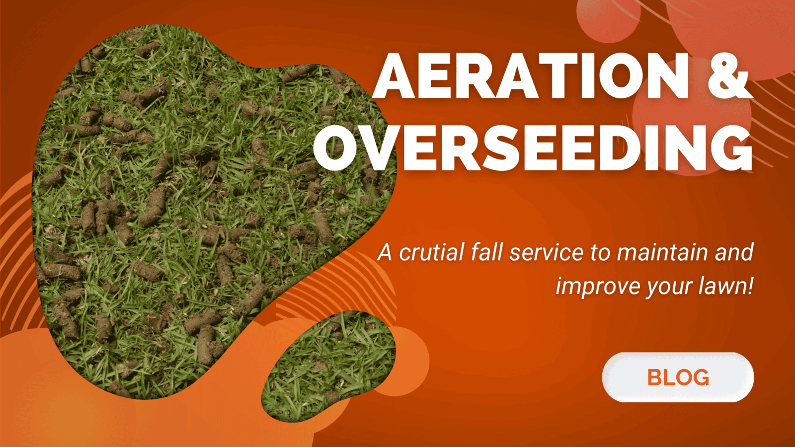 The Importance of Aeration & Overseeding This Fall for a Healthy Lawn