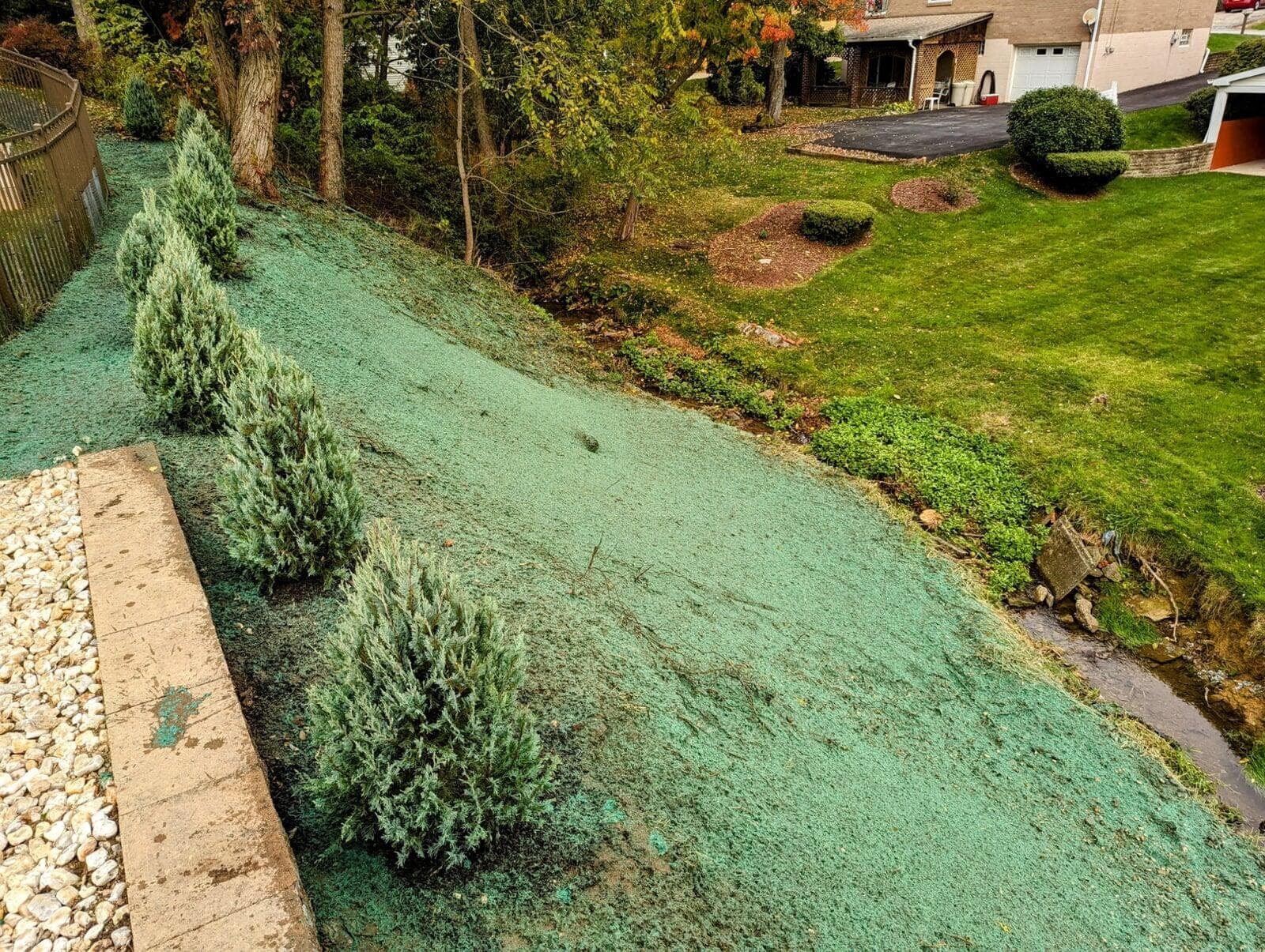 A sloped hillside covered with hydroseeding material, which is green and textured, to promote grass growth. Newly planted small evergreen shrubs line the edge of the slope. In the background, a residential neighborhood with well-maintained lawns, driveways, and trees can be seen.