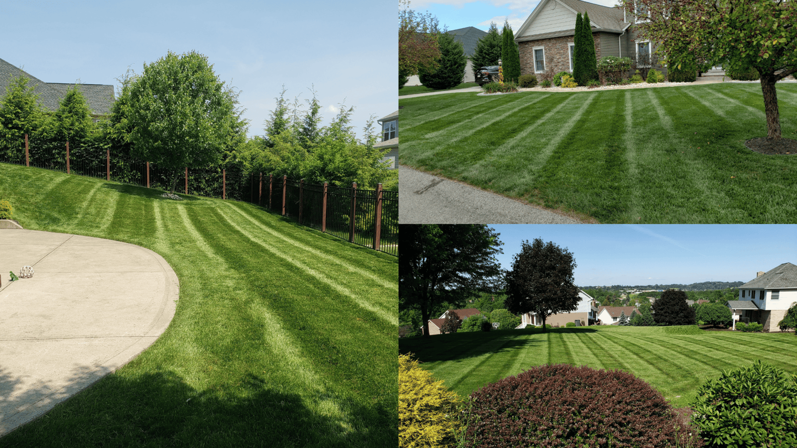 Essential Lawn Mowing Tips for a Healthy Lawn