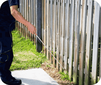 Person spraying weed killer along a wooden fence in a yard.