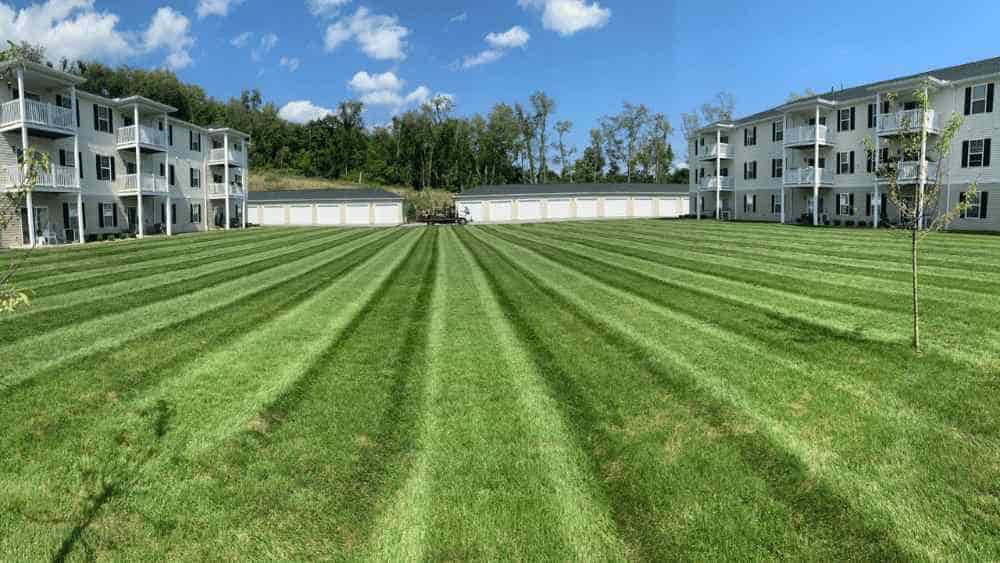 Top Lawn Mowing Tips for North Huntingdon and Irwin, PA Homeowners