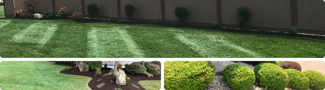 What You Might Not Know About Hiring a Landscaper: Unveiling the Benefits Beyond DIY