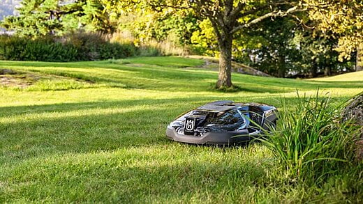 Robotic Lawn Mowing