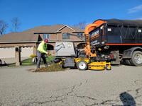 Leaf Cleanup